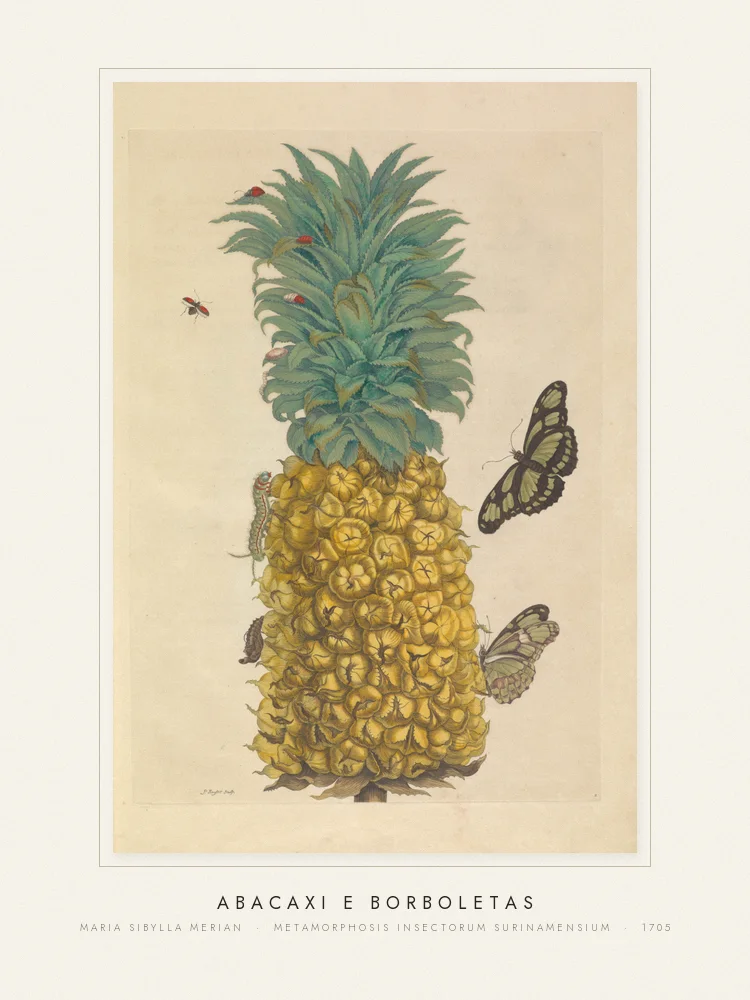 Quadro Abacaxi e borboletas