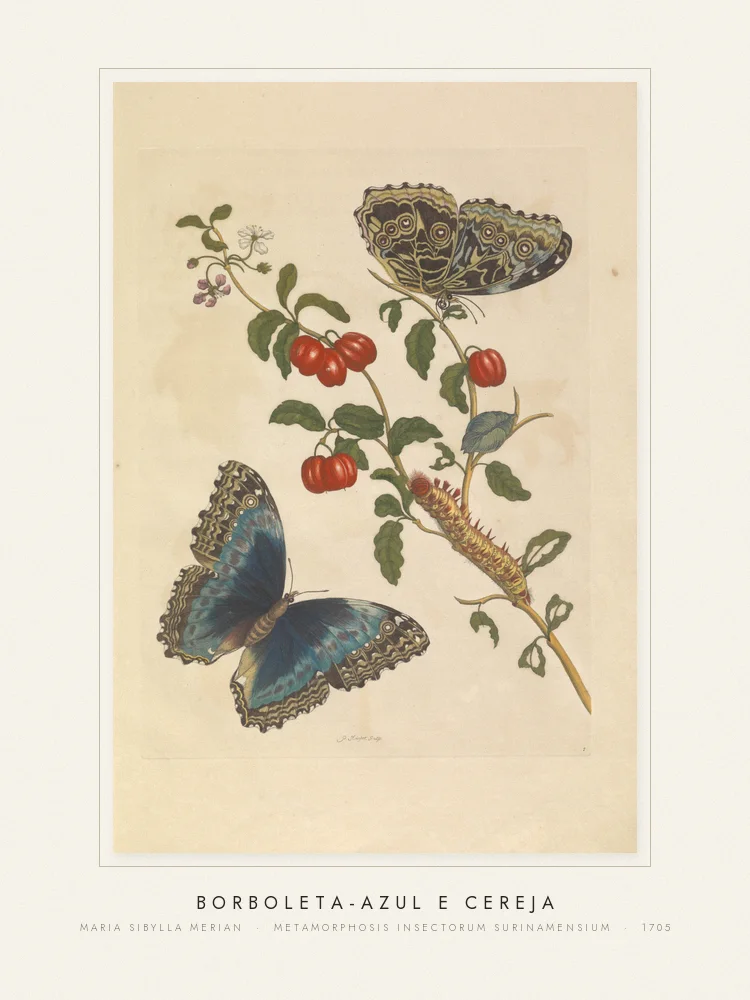 Quadro Borboleta-azul e cereja